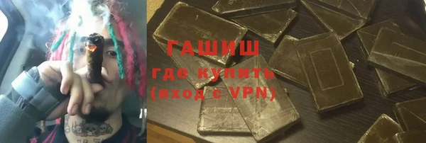 мдпв Гусев
