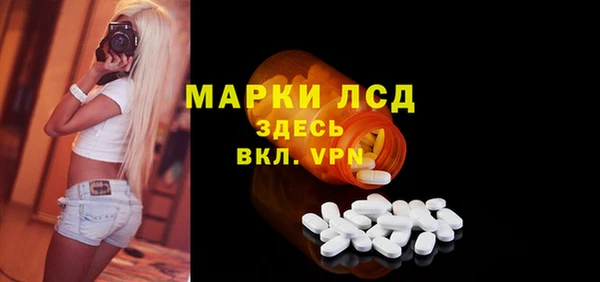мдпв Гусев