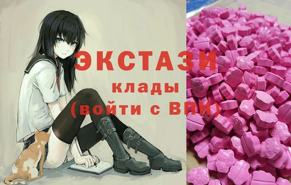 мдпв Гусев