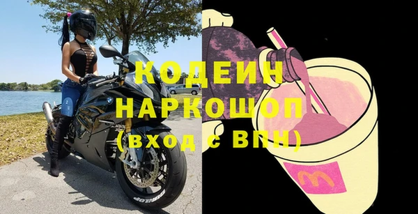 мдпв Гусев