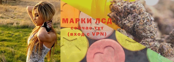 мдпв Гусев