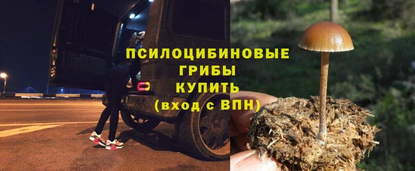 бутират Гусь-Хрустальный